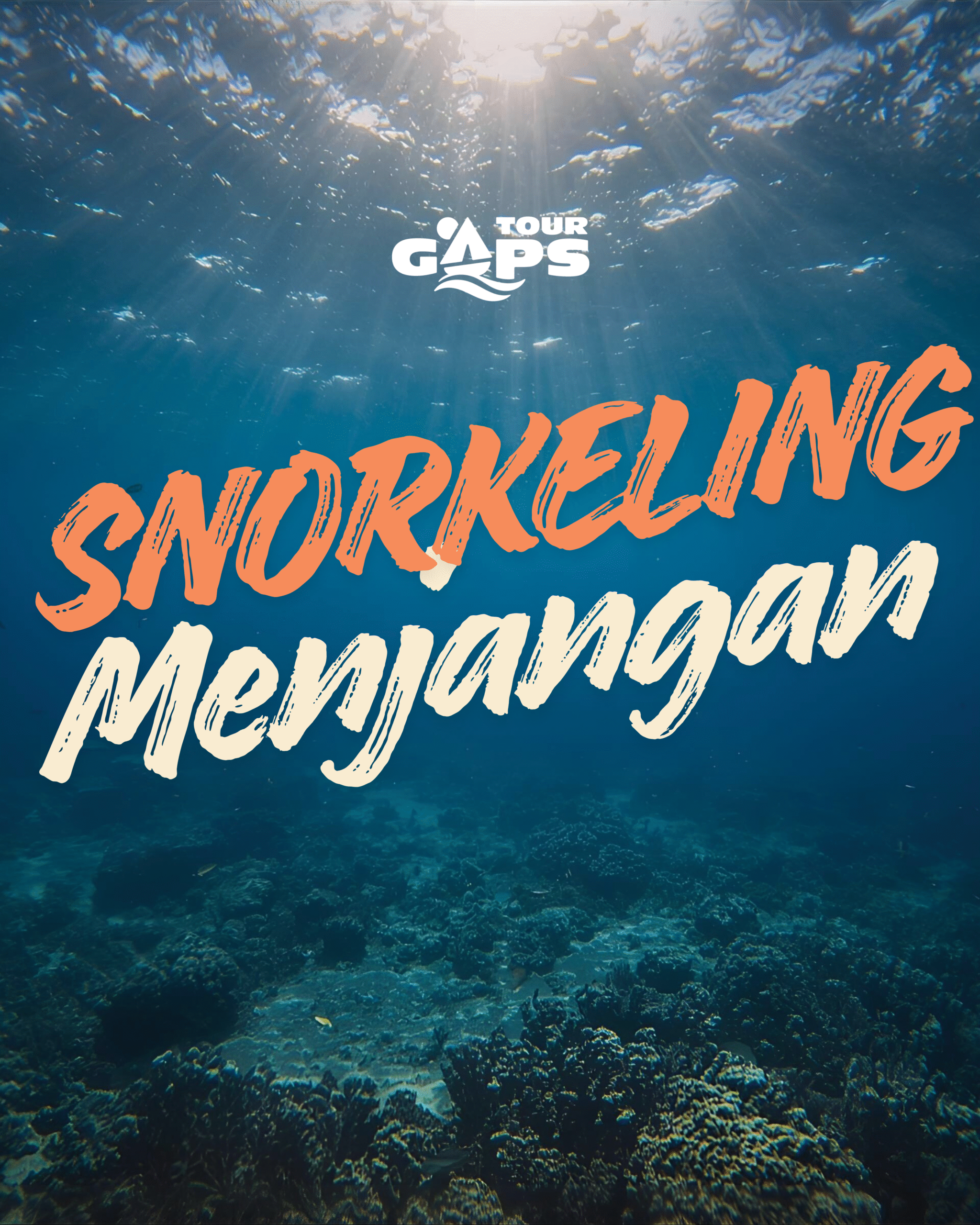 WEBSITE PICS (12) Snorkeling Menjangan Bali