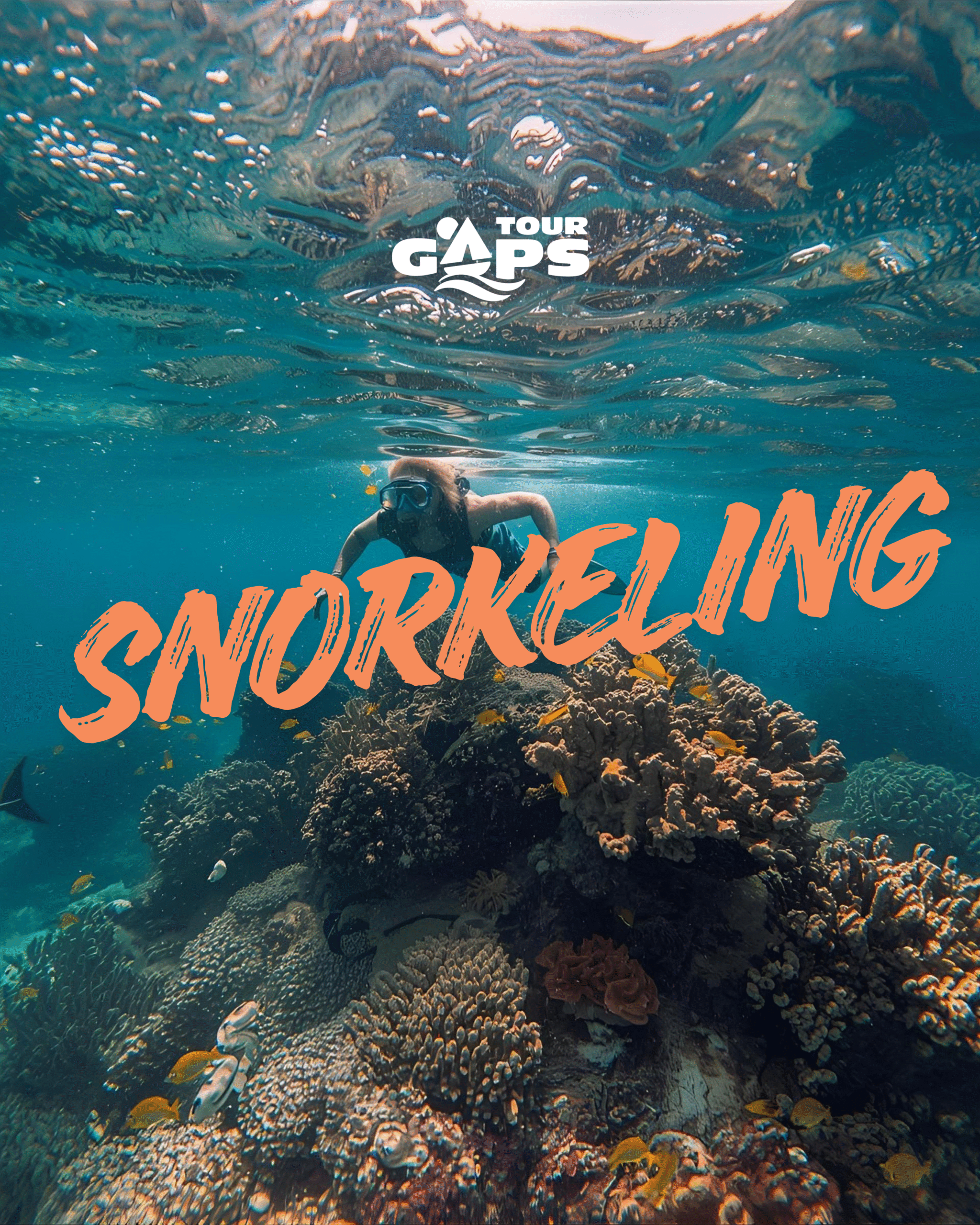 WEBSITE PICS Snorkeling Day Tour to 3 Gilis from Gili Trawangan