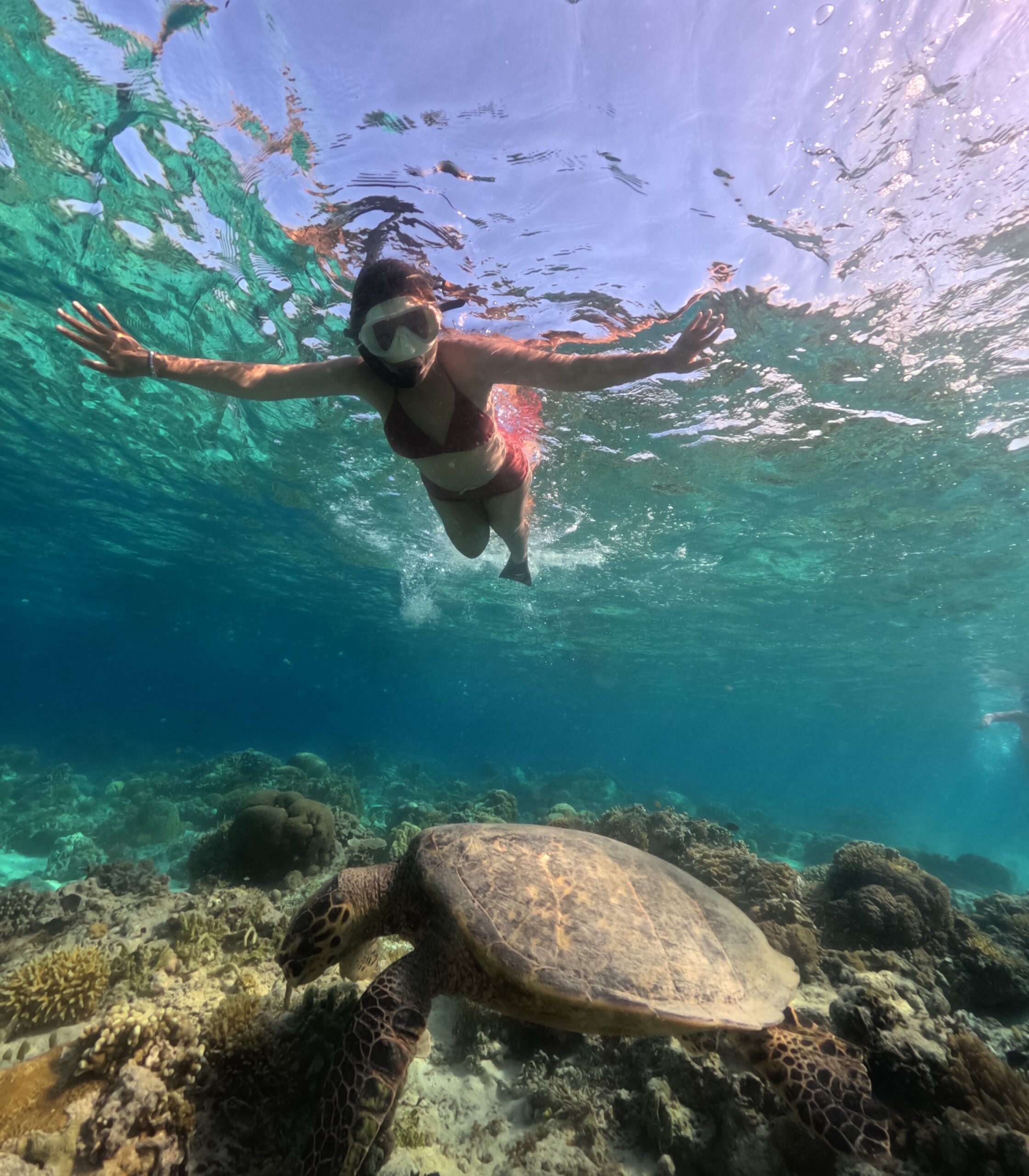 dcim100goprogopr2882-jpg Snorkeling Day Tour to 3 Gilis from Gili Trawangan